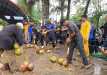 Meriahkan Milad Inhil, Dinas Pertanian Gelar Lomba Menyolak Kelapa