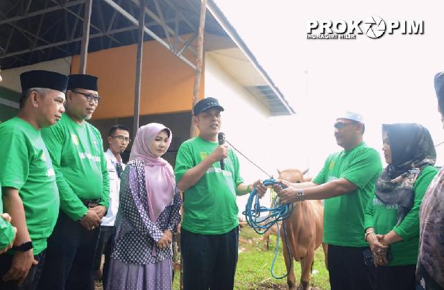 Pj Bupati Herman Lakukan Penyembelihan Pertama Hewan Qurban di lingkungan Setda Inhil