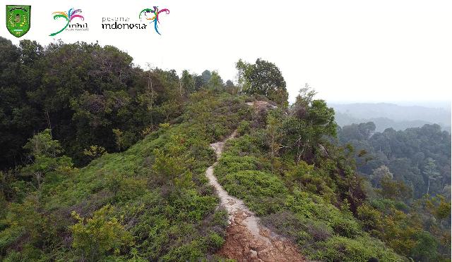 Potret Indahnya Gelanggang Tuo Bukit Bungo Dari Udara